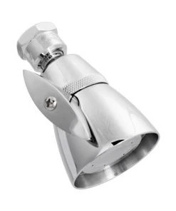 Plumb Works® 2-Spray Chrome Fixed Mount Showerhead