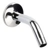 Plumb Works® 6" Chrome Showerhead Arm With Flange -Plumb Works Sales Store 6784373 5202410C RA